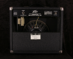
                            Peavey USA Backstage 30